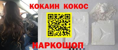амф Гусев