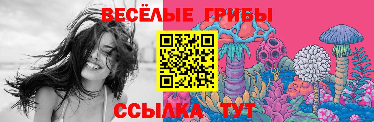 Галлюциногенные грибы Magic Shrooms Долгопрудный